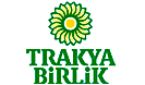 Telçit